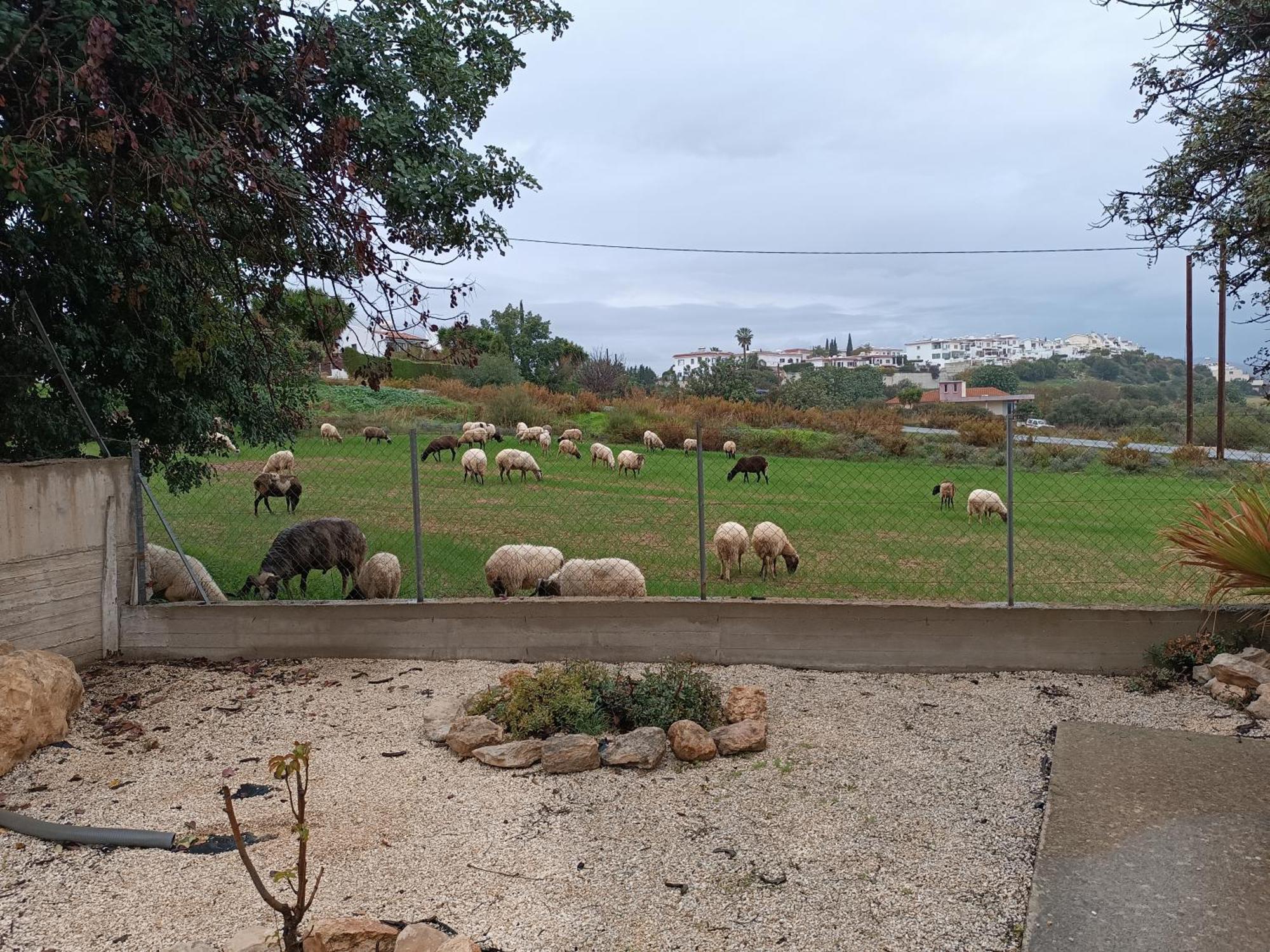 פיסורי Kapsalia Holiday Villas מראה חיצוני תמונה